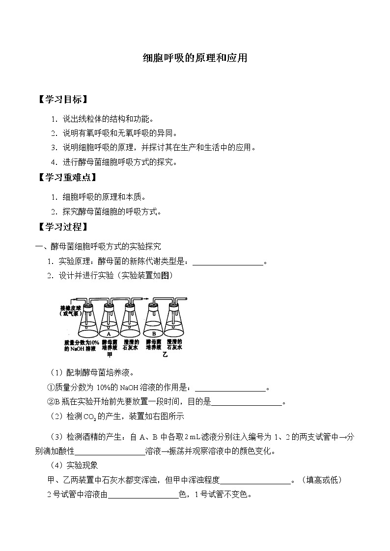 (学案)细胞呼吸的原理和应用01