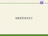 6.3细胞的衰老和死亡课件+教案+学案（3份打包）