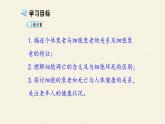 6.3细胞的衰老和死亡课件+教案+学案（3份打包）