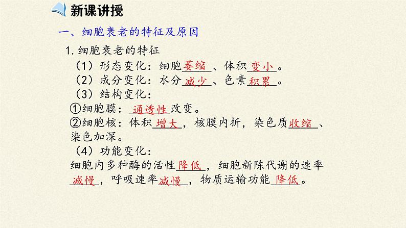 6.3细胞的衰老和死亡课件+教案+学案（3份打包）05