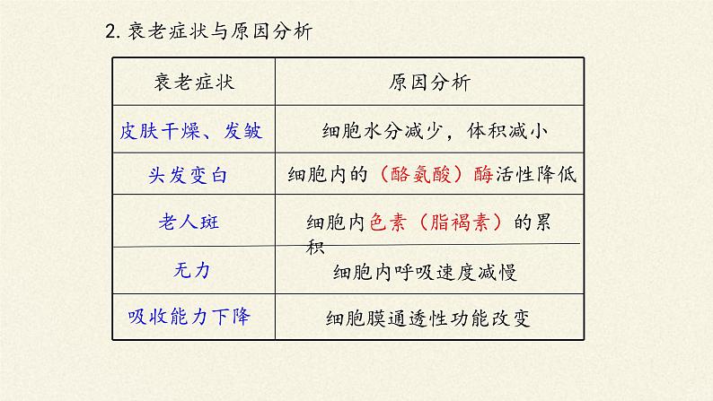 6.3细胞的衰老和死亡课件+教案+学案（3份打包）06