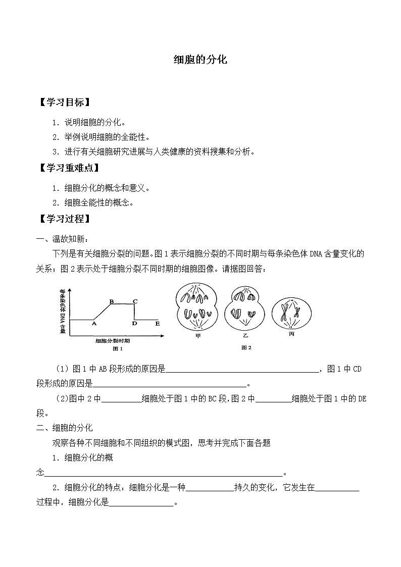 6.2细胞的分化课件+教案+学案（3份打包）01