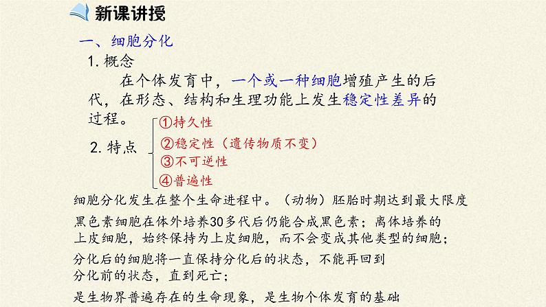 6.2细胞的分化课件+教案+学案（3份打包）04