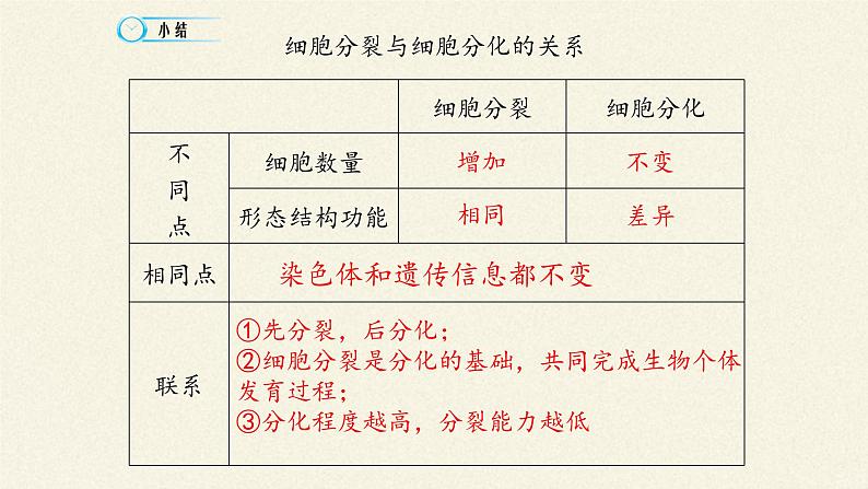 6.2细胞的分化课件+教案+学案（3份打包）08