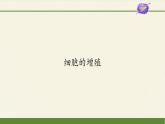 6.1细胞的增殖课件+教案+学案（3份打包）