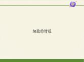 6.1细胞的增殖课件+教案+学案（3份打包）