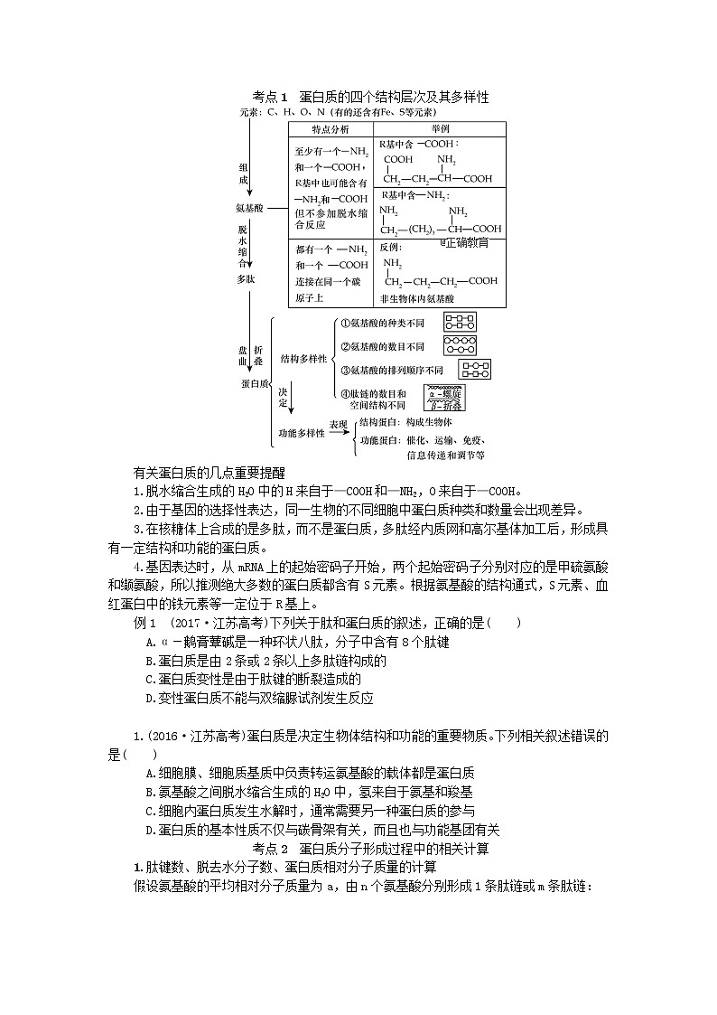 高考生物一轮总复习学案：第1单元 细胞的分子组成 第2讲 生命活动的主要承担者—蛋白质02