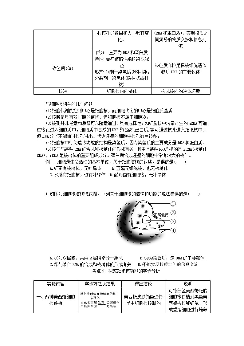 高考生物一轮总复习学案：第2单元 细胞的基本结构 第4讲 细胞核—系统的控制中心02