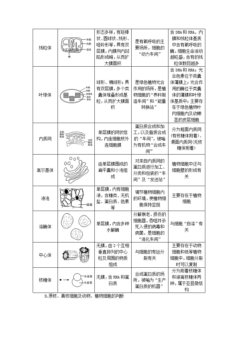 高考生物一轮总复习学案：第2单元 细胞的基本结构 第3讲 细胞器—系统的分工合作02