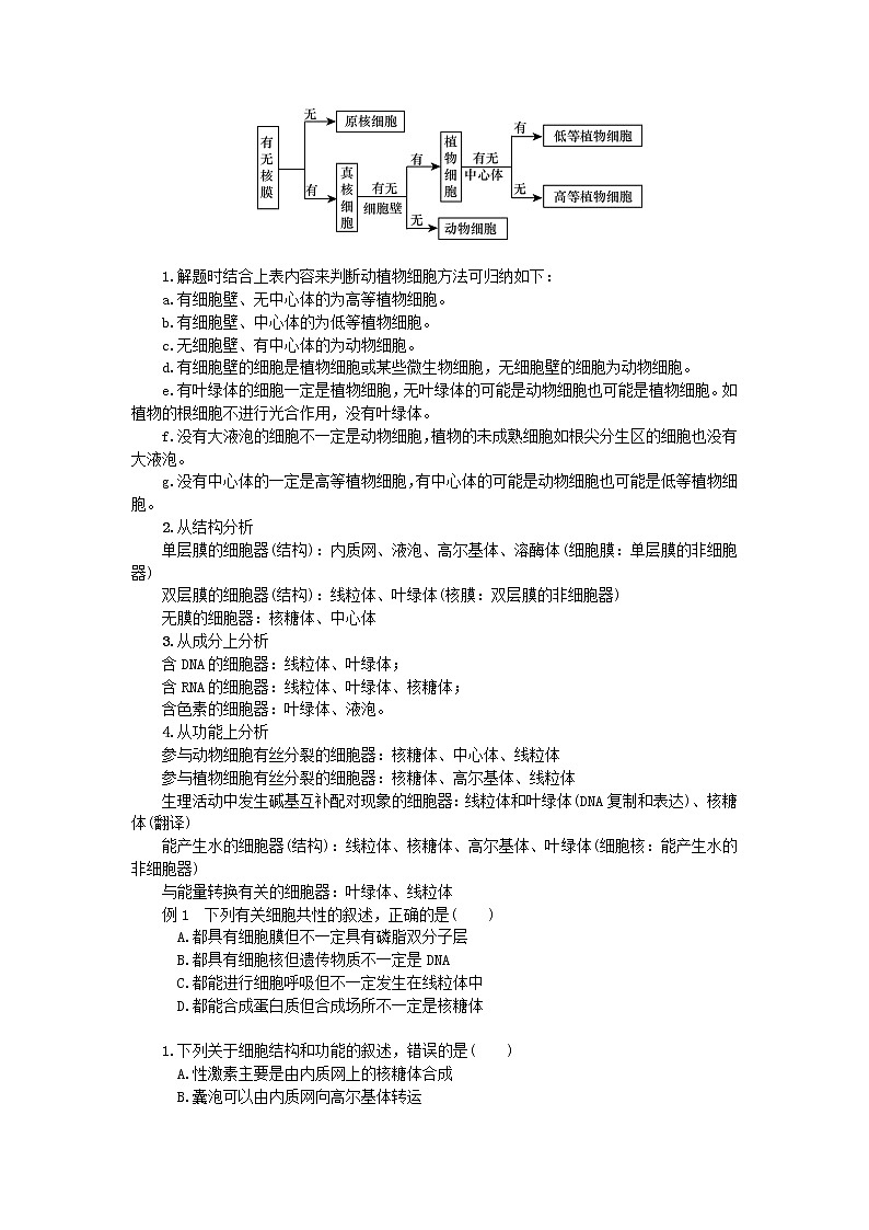 高考生物一轮总复习学案：第2单元 细胞的基本结构 第3讲 细胞器—系统的分工合作03