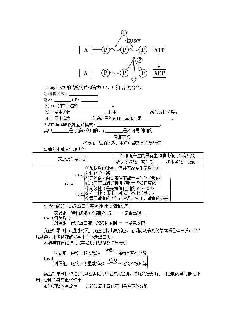 高考生物一轮总复习学案：第3单元 细胞的代谢 第1讲 酶与ATP02