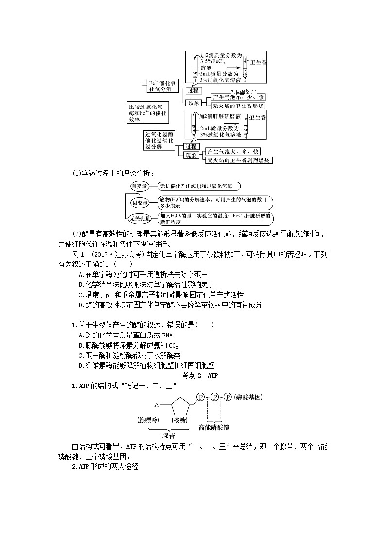 高考生物一轮总复习学案：第3单元 细胞的代谢 第1讲 酶与ATP03