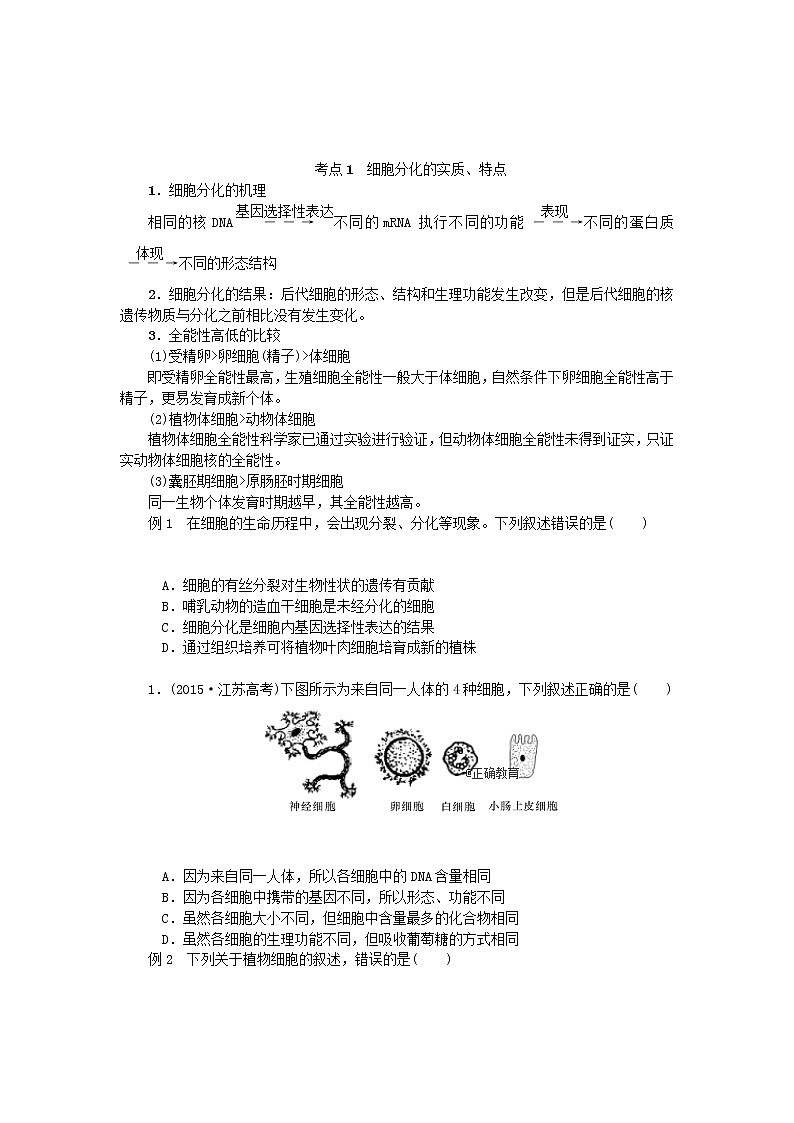 高考生物一轮总复习学案：第4单元 细胞的生命历程 第3讲 细胞的分化、衰老、凋亡与癌变03
