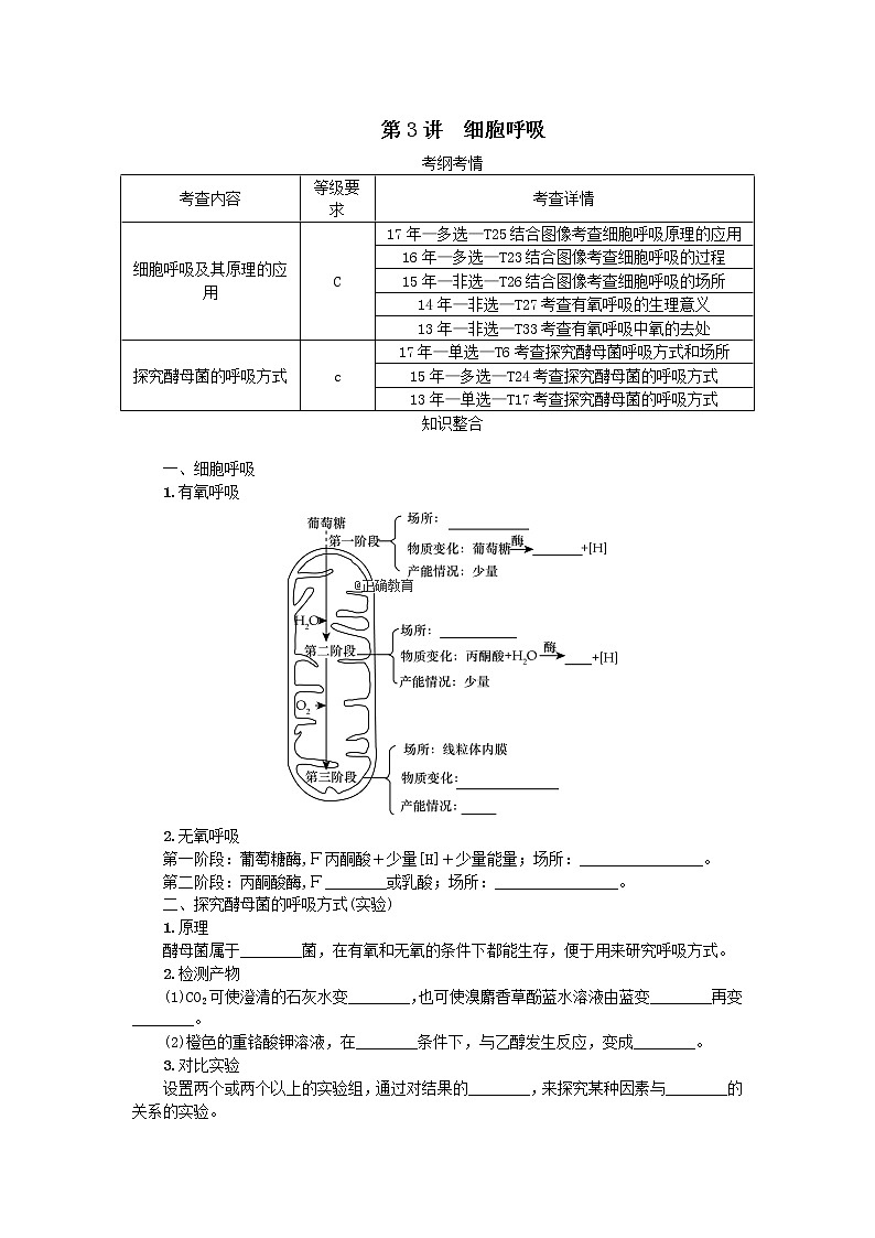 高考生物一轮总复习学案：第3单元 细胞的代谢 第3讲 细胞呼吸01