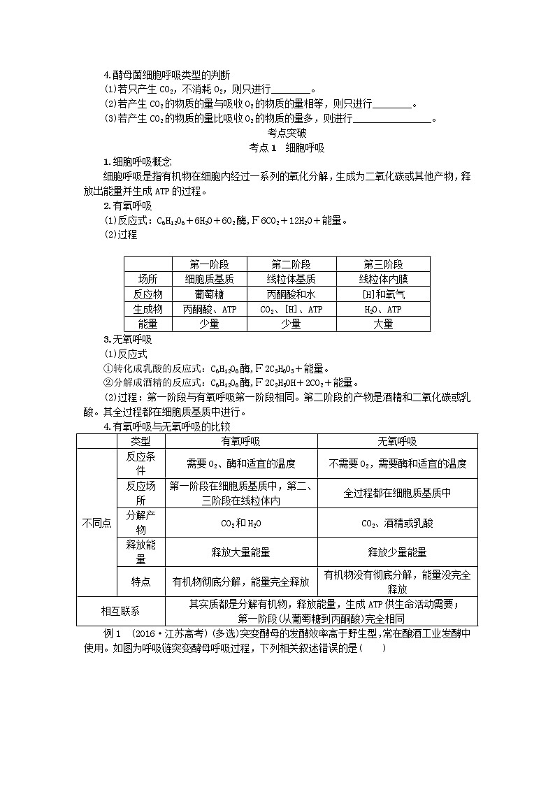 高考生物一轮总复习学案：第3单元 细胞的代谢 第3讲 细胞呼吸02