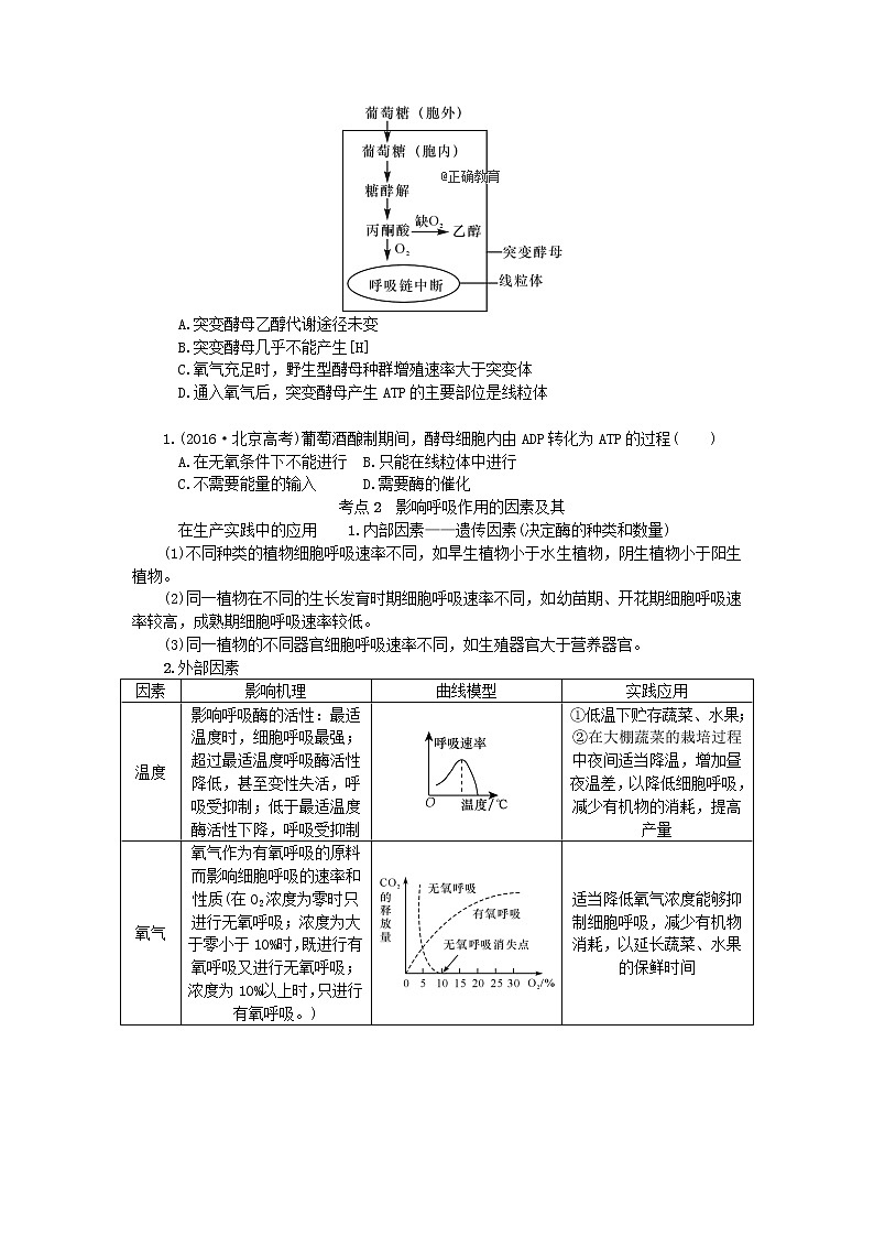 高考生物一轮总复习学案：第3单元 细胞的代谢 第3讲 细胞呼吸03