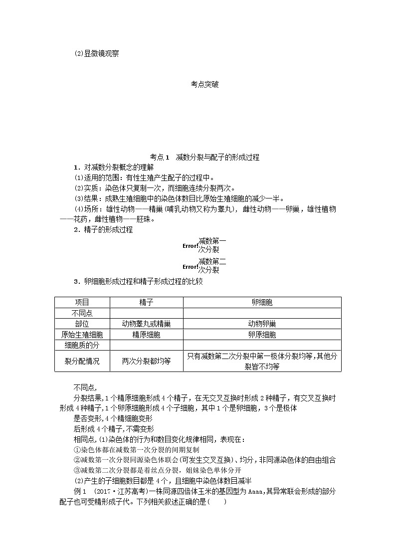 高考生物一轮总复习学案：第4单元 细胞的生命历程 第2讲 细胞的增殖203