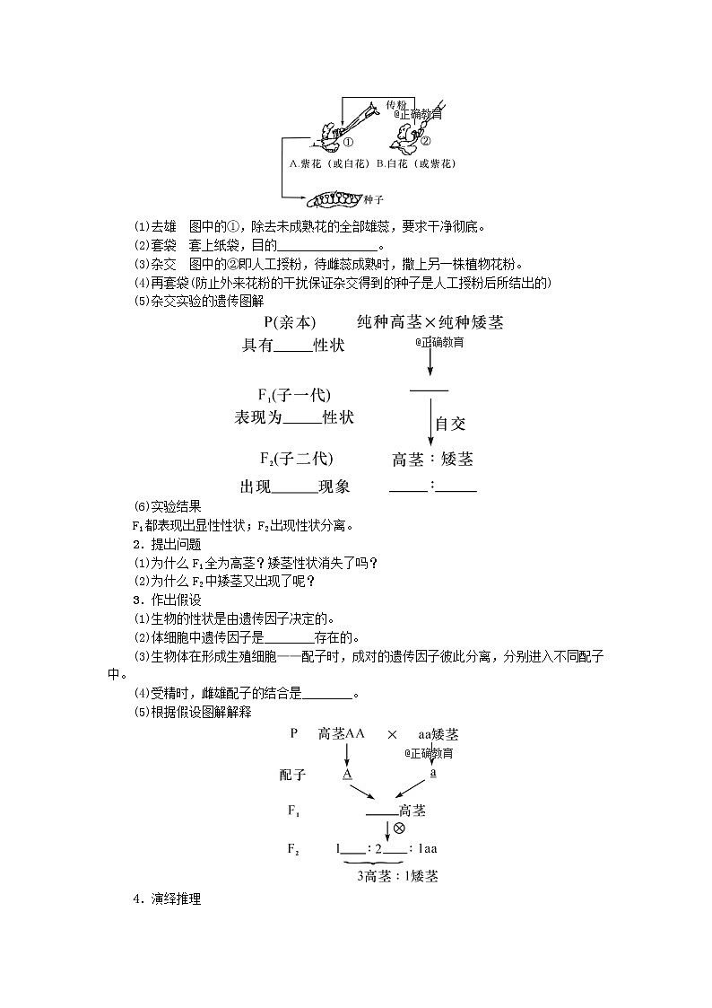 高考生物一轮总复习学案：第5单元 遗传的基本规律 第1讲 基因的分离定律02