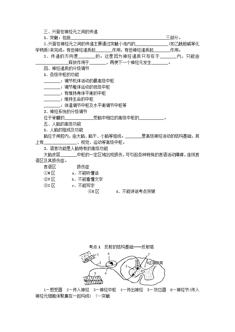 高考生物一轮总复习学案：第8单元 人和动物生命活动的调节 第2讲 神经调节02