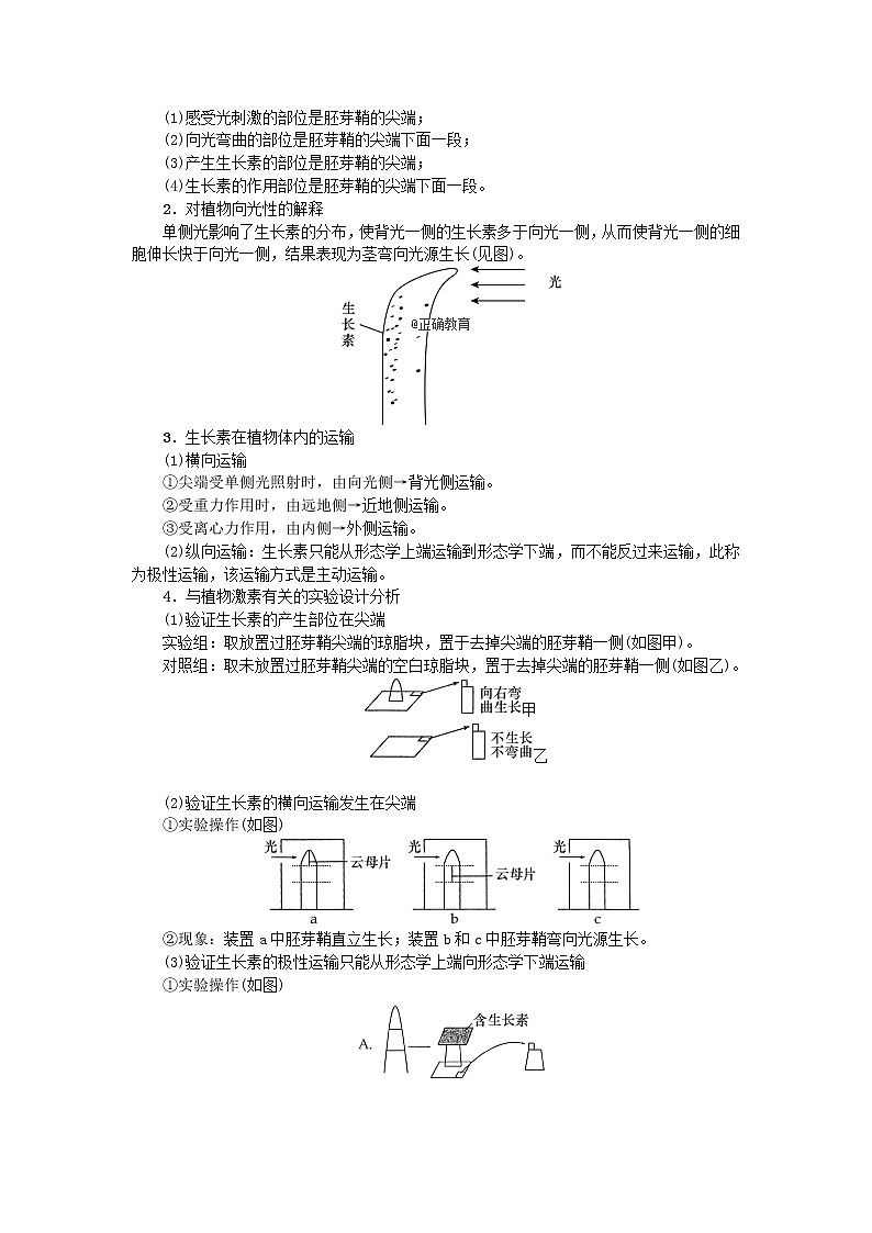 高考生物一轮总复习学案：第9单元 植物的激素调节 第1讲 生长素的发现和作用03