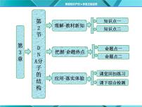 高中生物人教版 (新课标)必修2《遗传与进化》第三章 基因的本质第2节 DNA分子的结构课文配套ppt课件