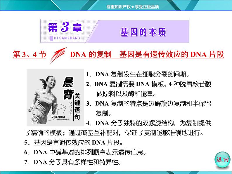 人教版必修2课件 第3章 第3、4节 dna的复制 基因是有遗传效应的dna片段02