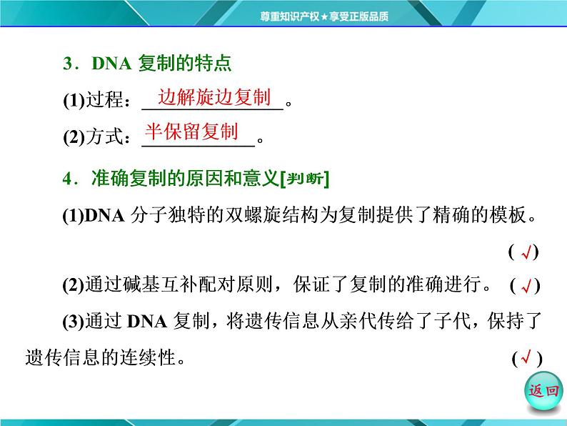 人教版必修2课件 第3章 第3、4节 dna的复制 基因是有遗传效应的dna片段05