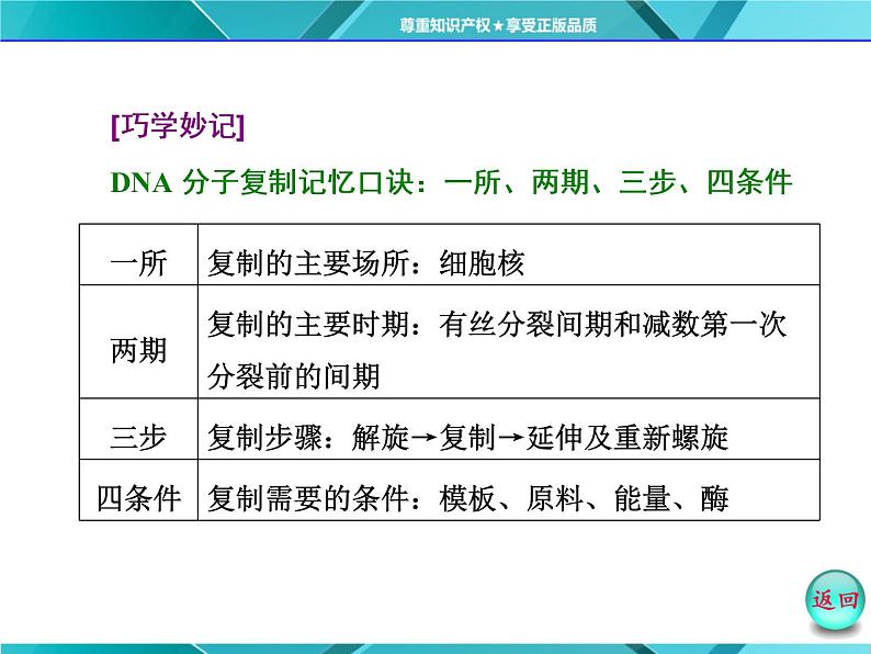 人教版必修2课件 第3章 第3、4节 dna的复制 基因是有遗传效应的dna片段06