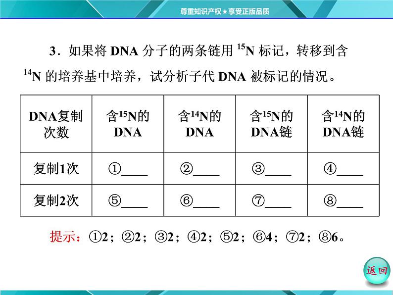人教版必修2课件 第3章 第3、4节 dna的复制 基因是有遗传效应的dna片段08