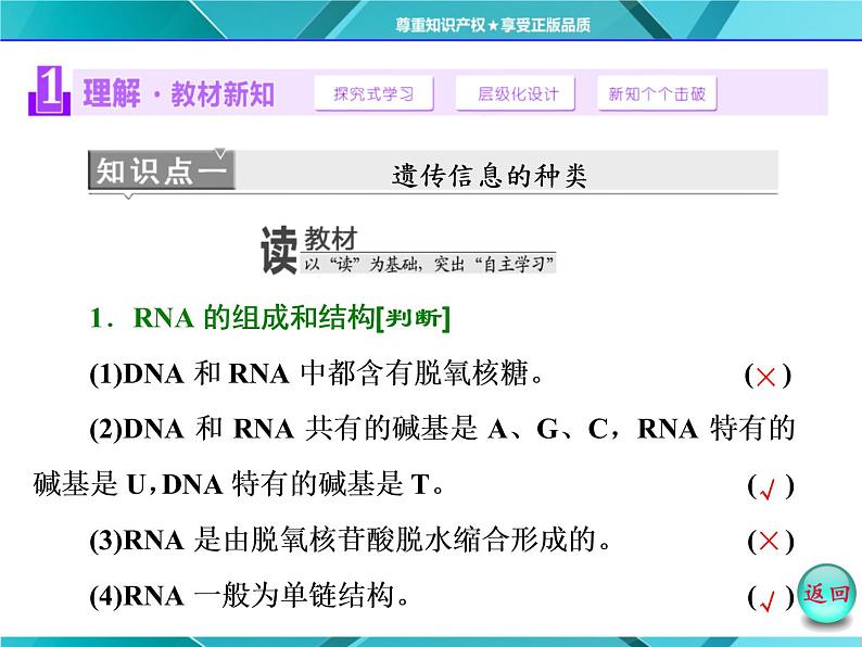 人教版必修2课件 第4章 第1节 基因指导蛋白质的合成03