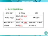 人教版必修2课件 第4章 第2节 基因对性状的控制