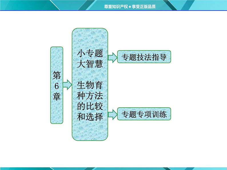 人教版必修2课件 第6章 小专题 大智慧 生物育种方法的比较和选择01