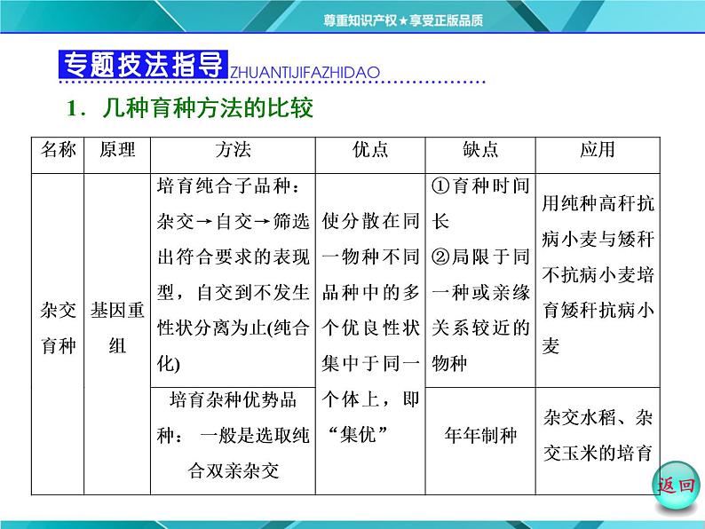 人教版必修2课件 第6章 小专题 大智慧 生物育种方法的比较和选择03