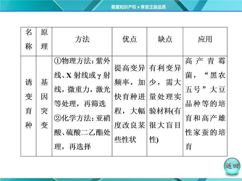 人教版必修2课件 第6章 小专题 大智慧 生物育种方法的比较和选择04