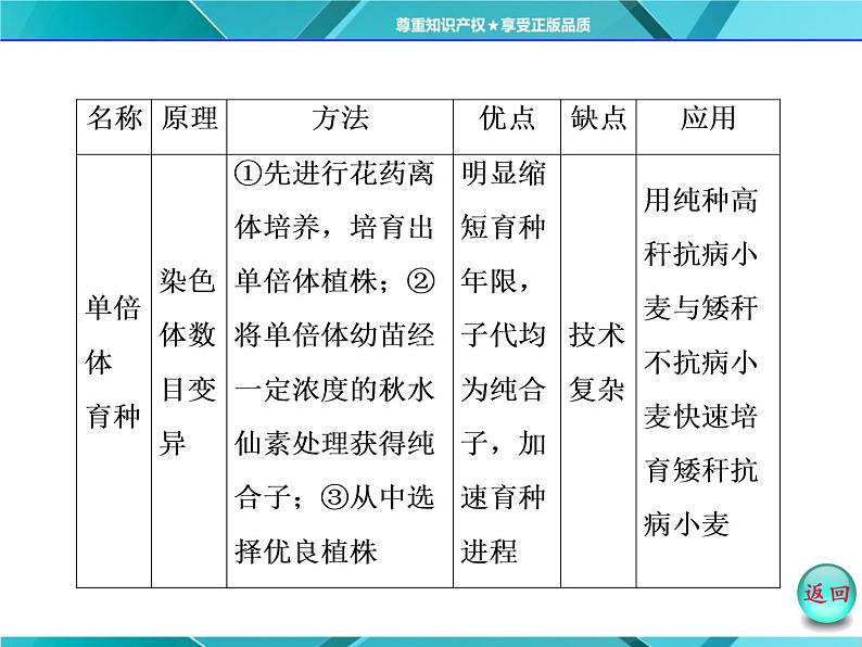 人教版必修2课件 第6章 小专题 大智慧 生物育种方法的比较和选择05