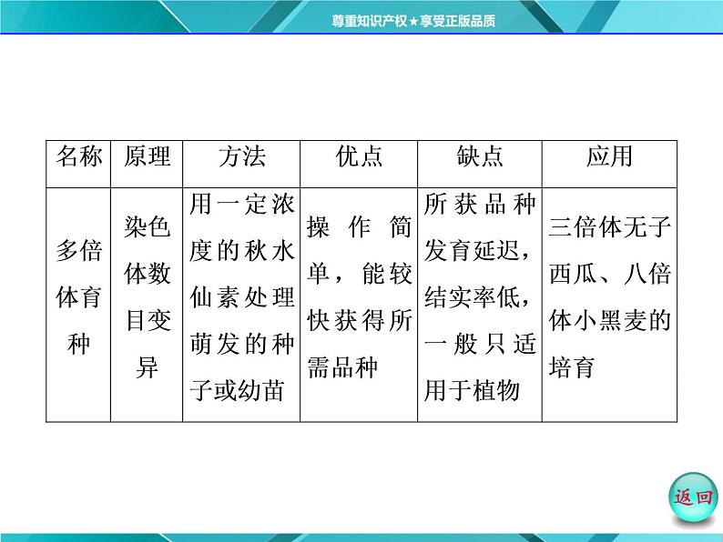 人教版必修2课件 第6章 小专题 大智慧 生物育种方法的比较和选择06