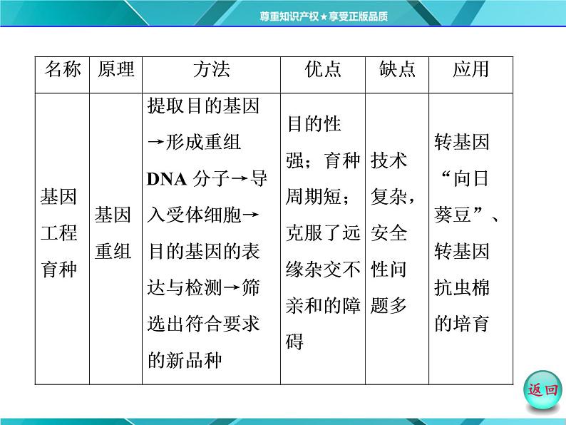 人教版必修2课件 第6章 小专题 大智慧 生物育种方法的比较和选择07