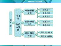 人教版 (新课标)必修2《遗传与进化》第五章 基因突变及其他变异第2节 染色体变异评课课件ppt