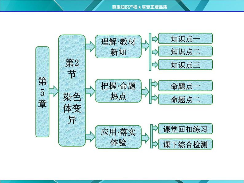 人教版必修2课件 第5章 第2节 染色体变异第1页