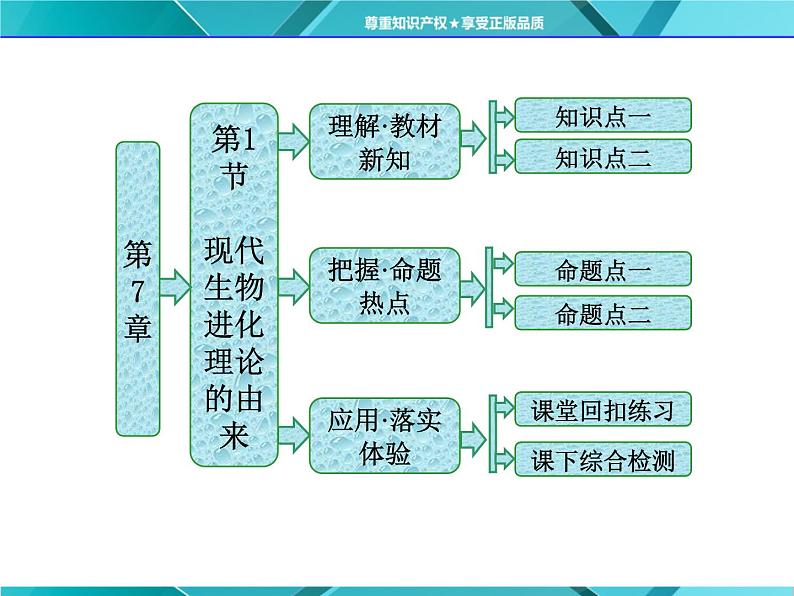 人教版必修2课件 第7章 第1节 现代生物进化理论的由来01