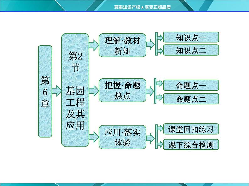 人教版必修2课件 第6章 第2节 基因工程及其应用01