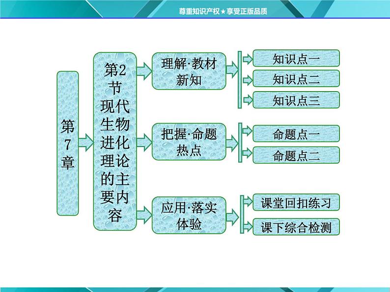 人教版必修2课件 第7章 第2节 现代生物进化理论的主要内容第1页