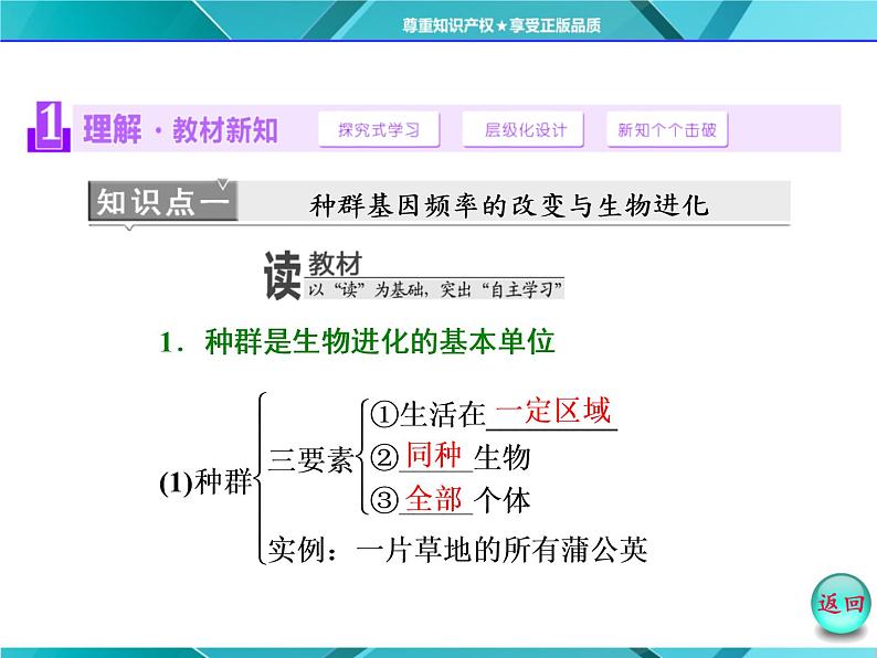 人教版必修2课件 第7章 第2节 现代生物进化理论的主要内容第3页