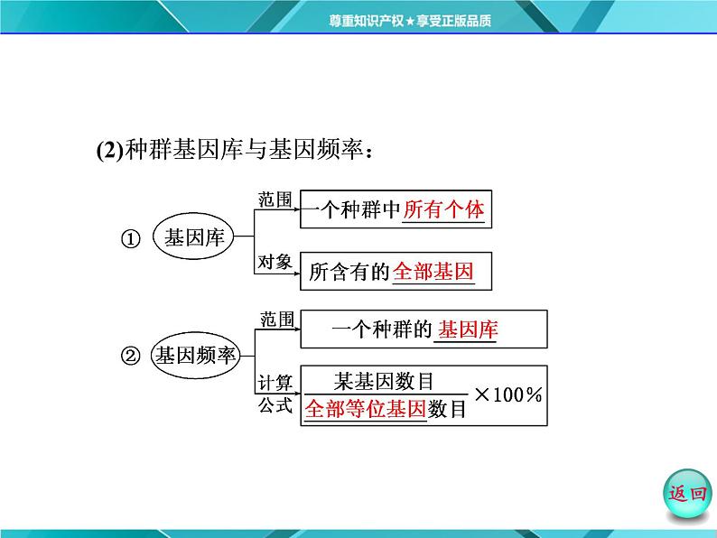 人教版必修2课件 第7章 第2节 现代生物进化理论的主要内容第4页