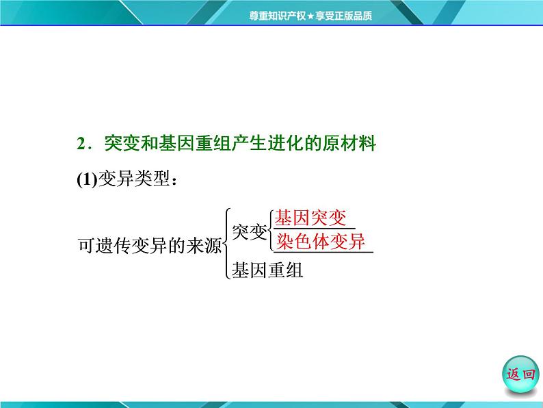 人教版必修2课件 第7章 第2节 现代生物进化理论的主要内容第5页