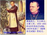 高中人教版生物必修2教学课件：1.1 孟德尔的豌豆杂交实验（一）2