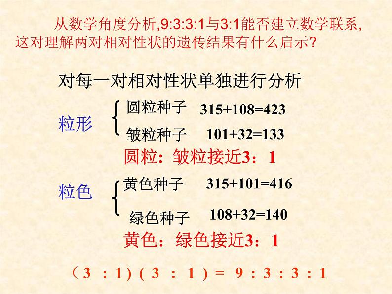 高中人教版生物必修2教学课件：1.2 孟德尔的豌豆杂交实验（二）103