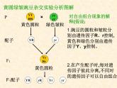 高中人教版生物必修2教学课件：1.2 孟德尔的豌豆杂交实验（二）1