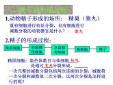 高中人教版生物必修2教学课件：2.1 减数分裂和受精作用1