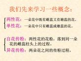 高中人教版生物必修2教学课件：1.1 孟德尔的豌豆杂交实验（一）1